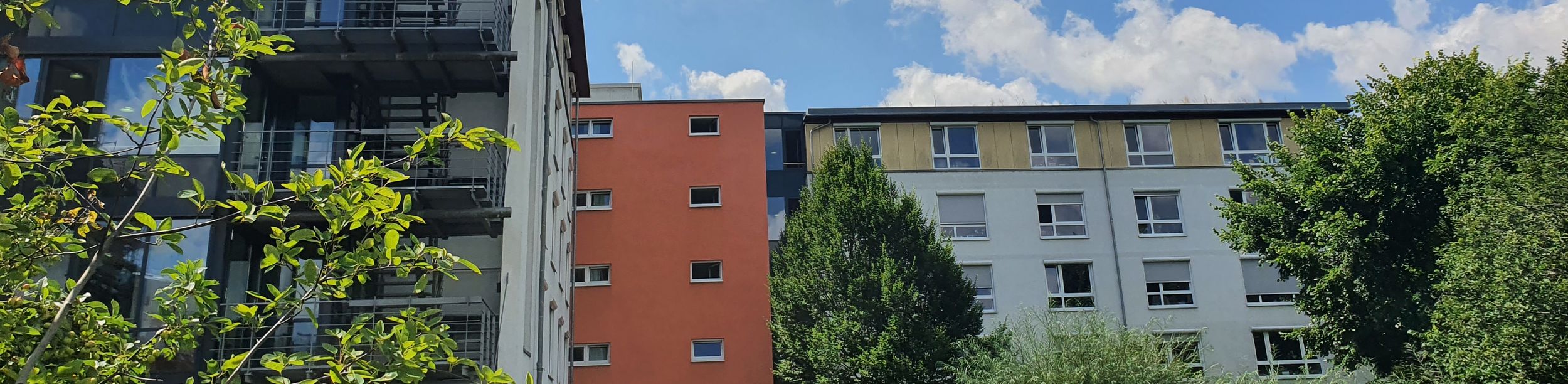 Äste und Blätter vor Wohnhäusern mit Balkonen und wolkigem Himmel